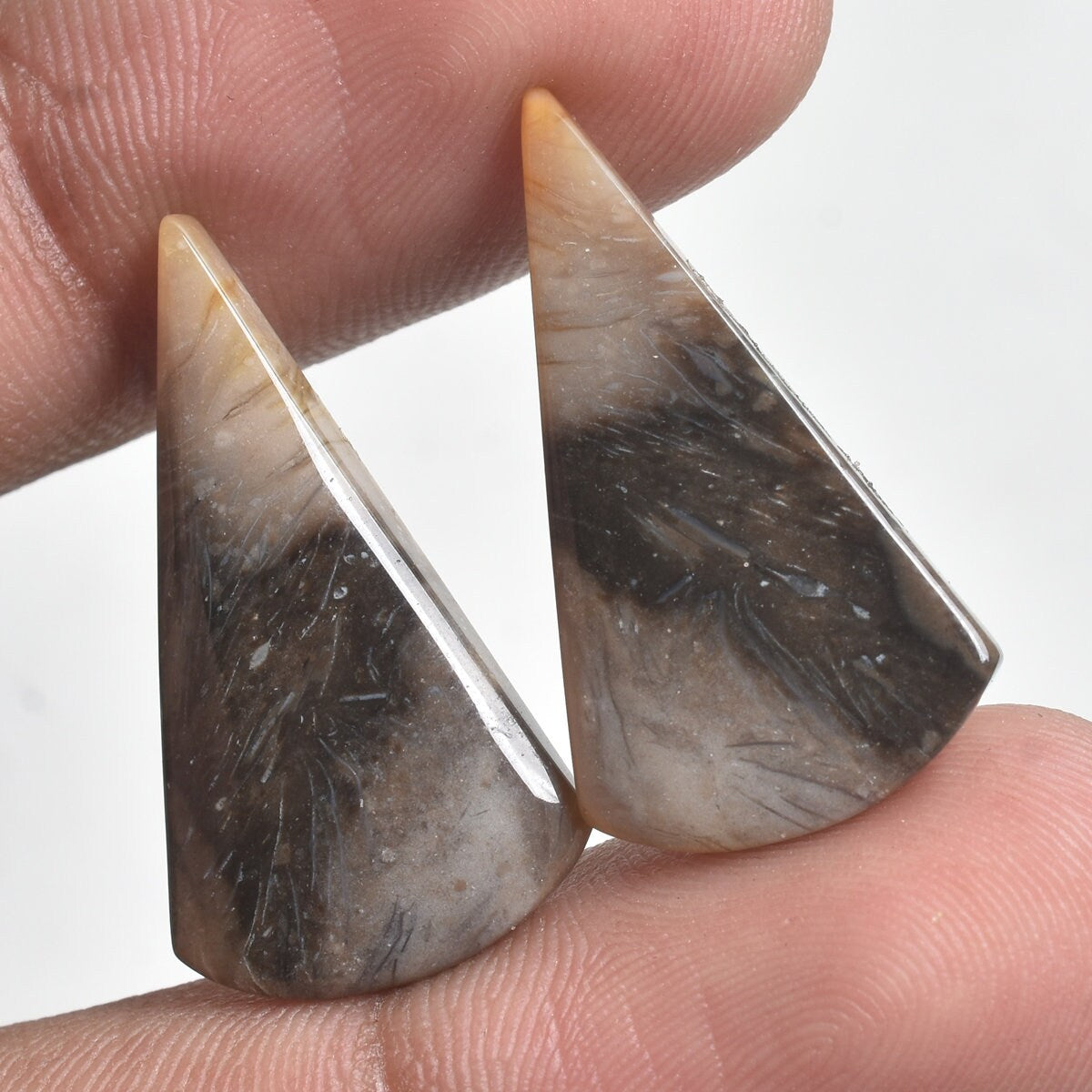 Natural Palm Root Matching Pair - Fossil Gemstone Agate Pair for Custom Jewelry & Gifts