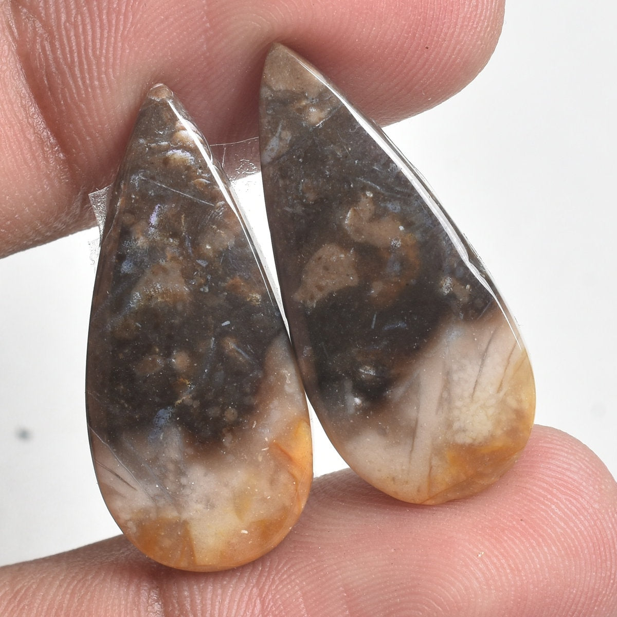 Natural Palm Root Matching Pair - Fossil Gemstone Agate Pair for Custom Jewelry & Gifts