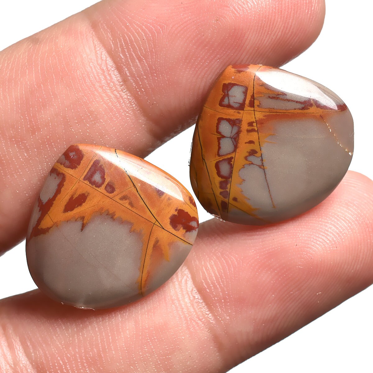 Fancy Shape Noreena Jasper Gemstone Pair - Natural Cabochon for Earrings