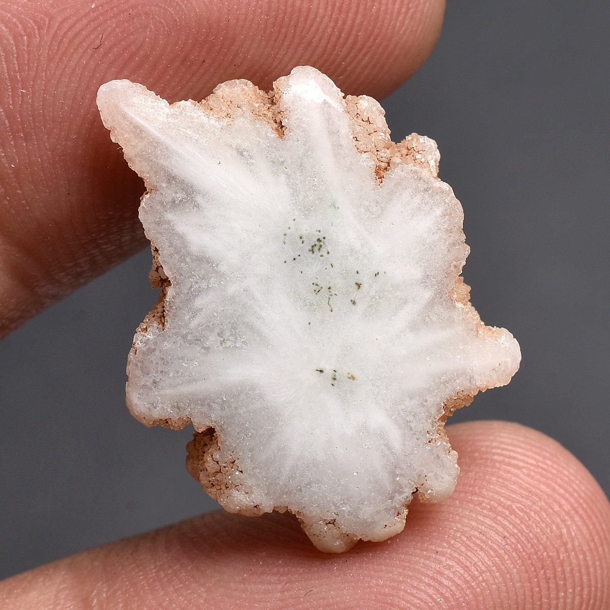 Fancy Solar Quartz Cabochon - White Stalactite Slice Gemstone at Wholesale Price