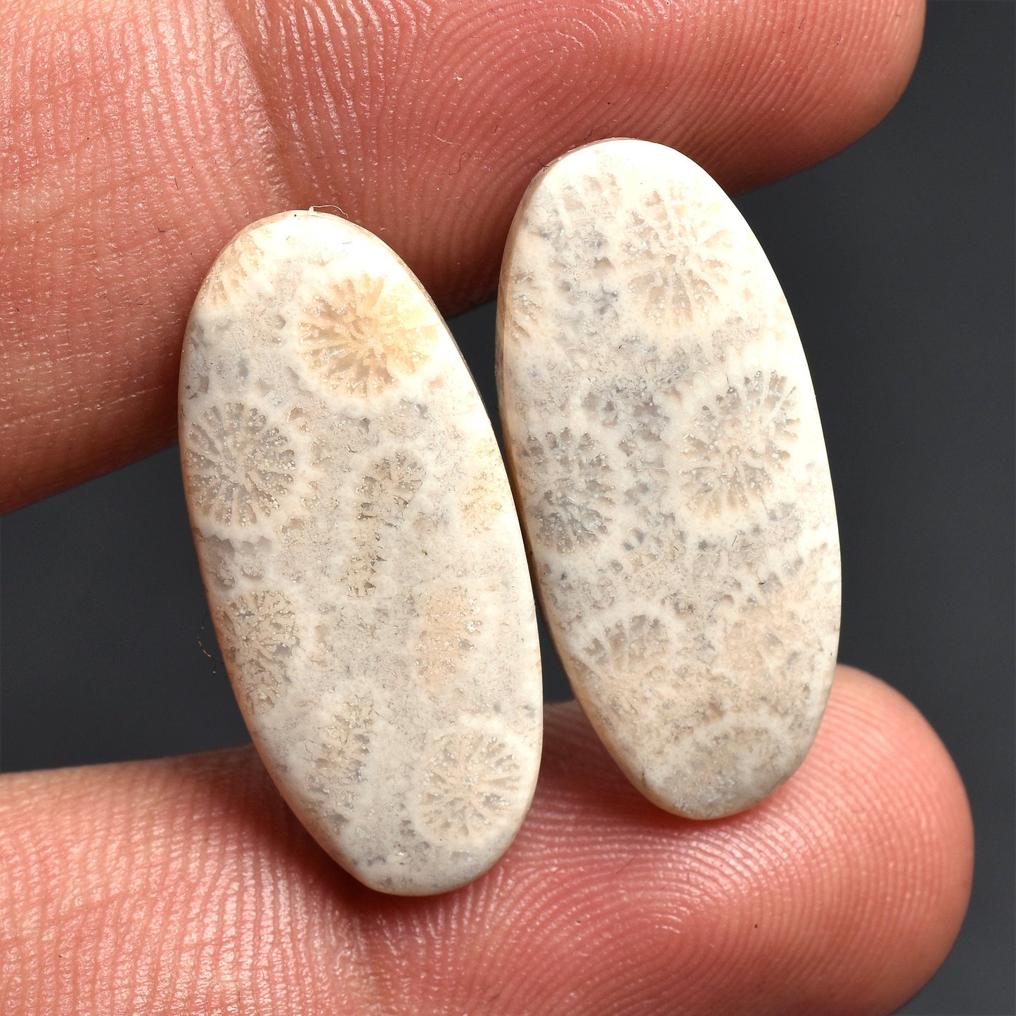 Natural Fossil Coral Matching Pair Cabochon - Flower Oval Shape for Earring Making