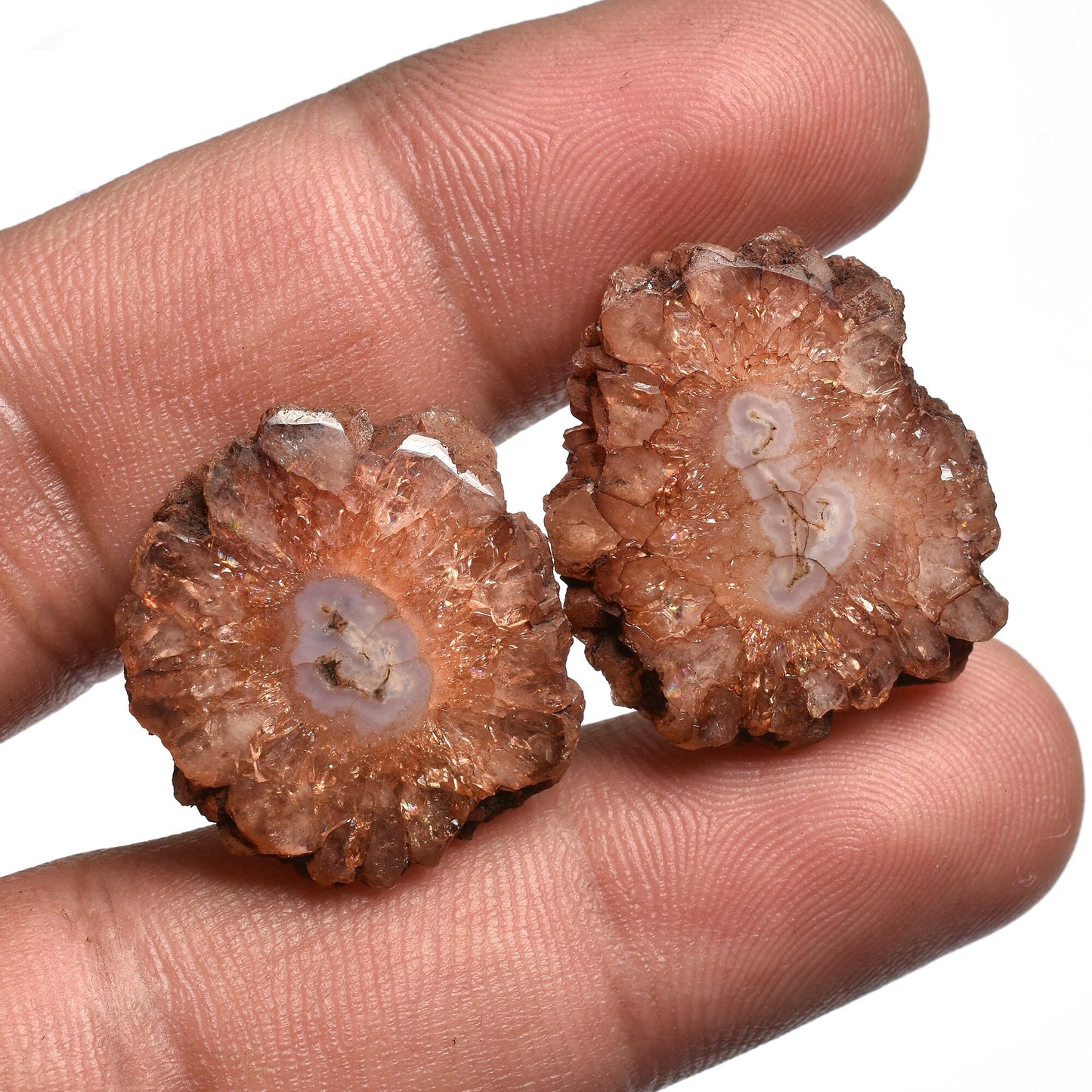 Exquisite! Brown Solar Quartz Fancy Shape Earrings Pair - Unique Loose Gemstone