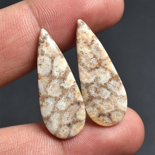 Fossil Coral Cabochon Pair – Pear Shaped Smooth Gemstone for Earrings, Matched Pair