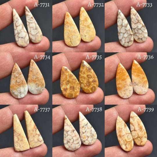 Fossil Coral Cabochon Pair – Pear Shaped Smooth Gemstone for Earrings, Matched Pair