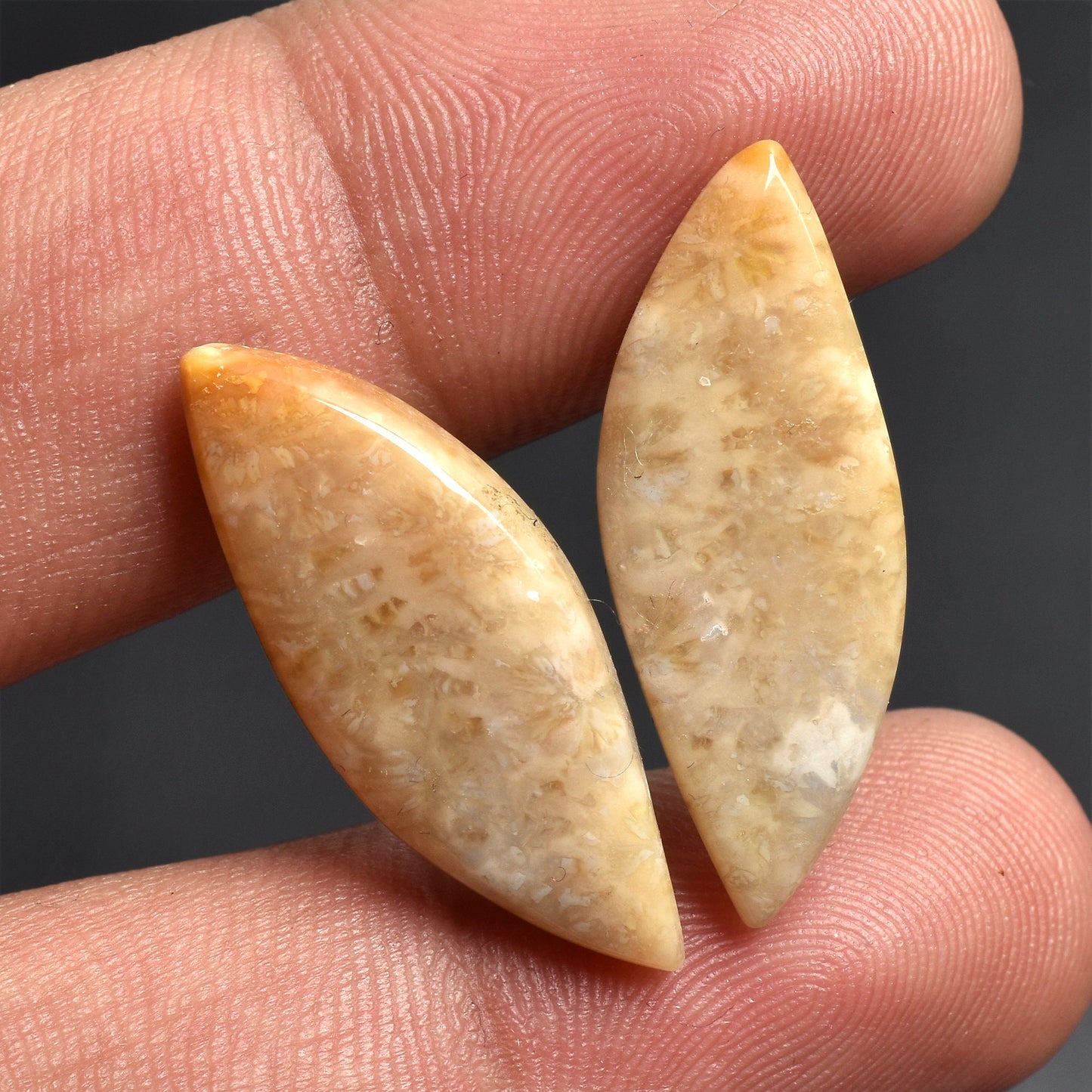 Fancy Fossil Coral Matching Pair, Unique Earrings Stones for Custom Jewelry