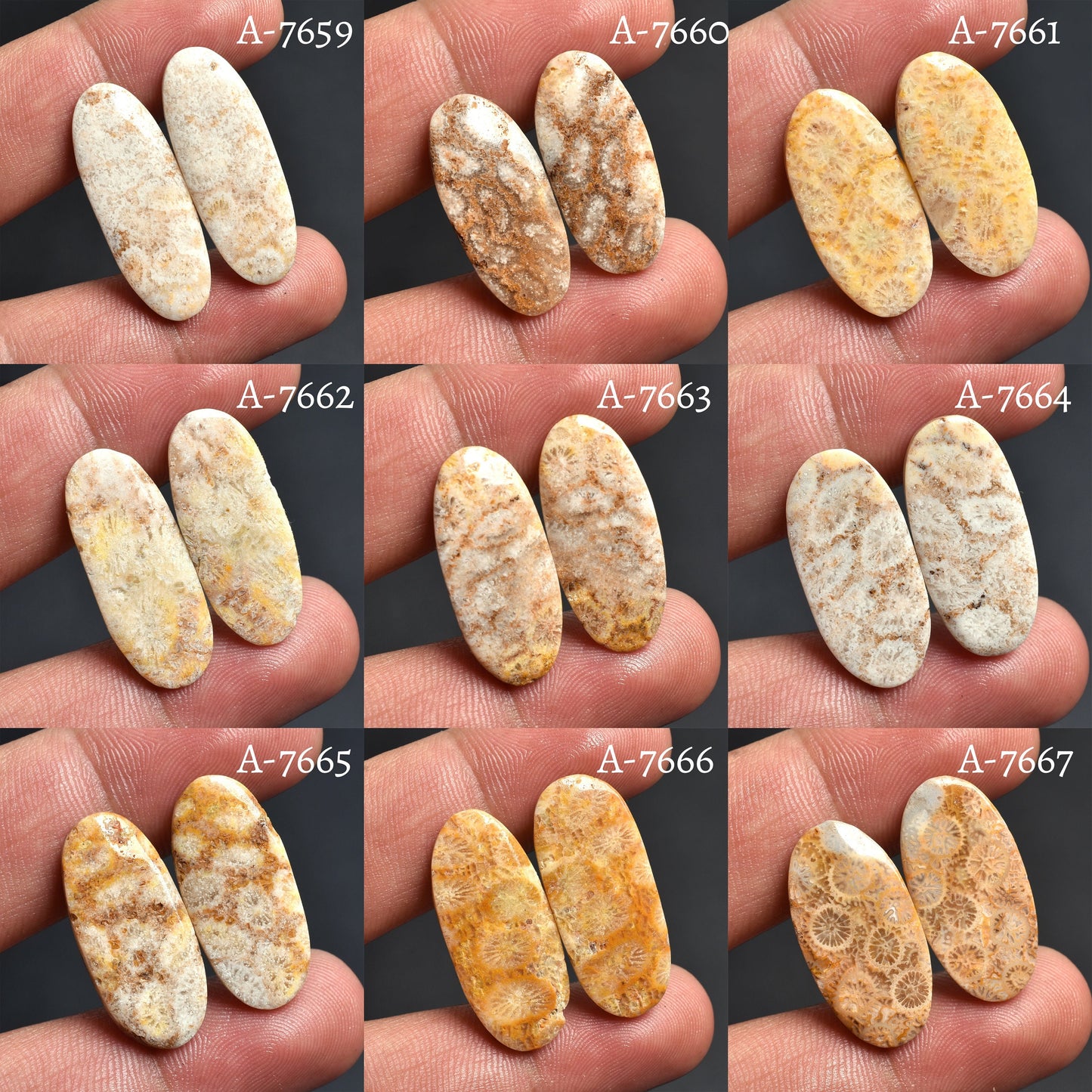 Fossil Coral Earrings Pair – Oval shape, Unique Flower Pattern Dangle Gemstone Earrings