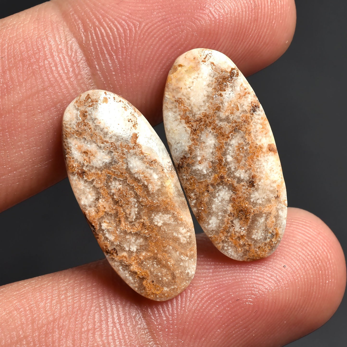 Fossil Coral Earrings Pair – Oval shape, Unique Flower Pattern Dangle Gemstone Earrings