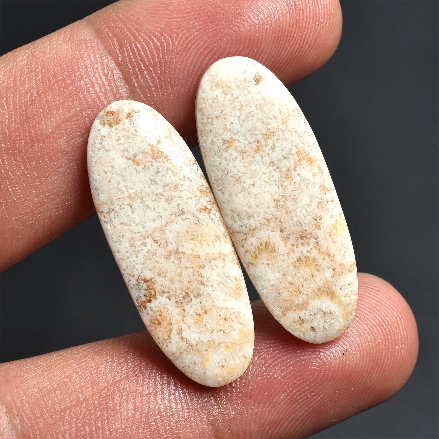 Fossil Coral Earrings Pair – Oval shape, Unique Flower Pattern Dangle Gemstone Earrings