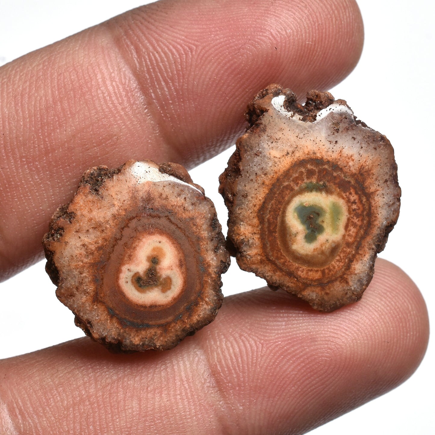 Elegant Brown Solar Quartz Pair - Loose Gemstone Earring Matching Quartz Pair