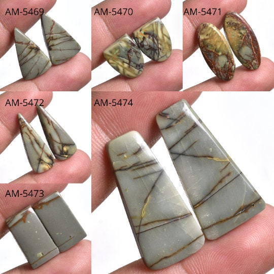 Red Cherry Jasper Cabochon Pair Multi-Shape Textured Gemstone for Earrings