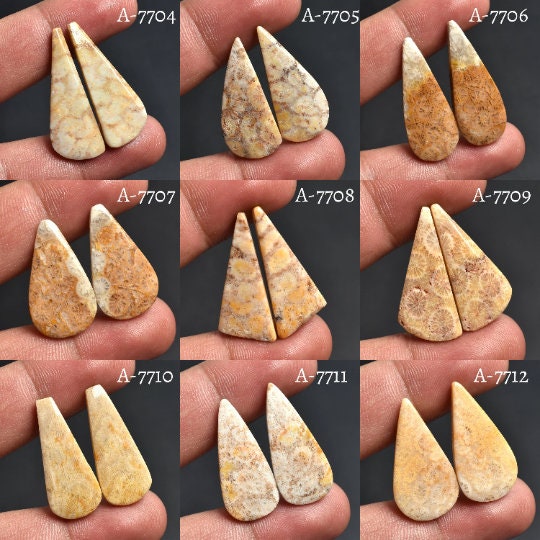 Natural Fossil Coral Gemstone Earrings Pair - Designer Loose Fossil Coral