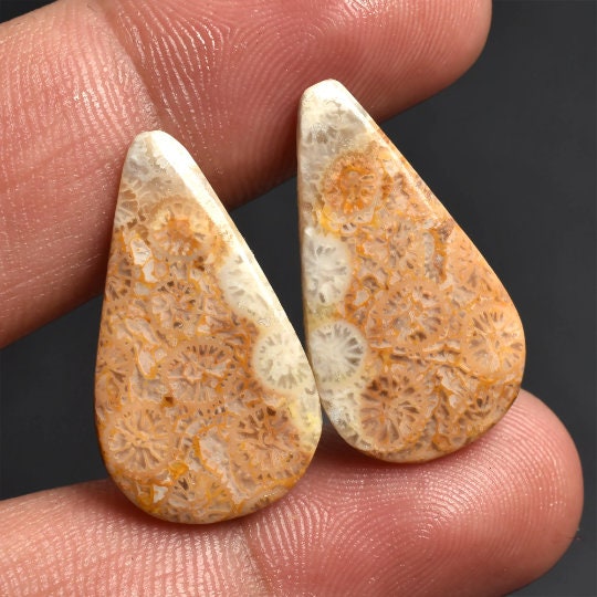 Natural Fossil Coral Gemstone Earrings Pair - Designer Loose Fossil Coral