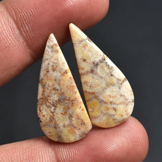 Natural Fossil Coral Gemstone Earrings Pair - Designer Loose Fossil Coral