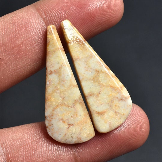 Natural Fossil Coral Gemstone Earrings Pair - Designer Loose Fossil Coral