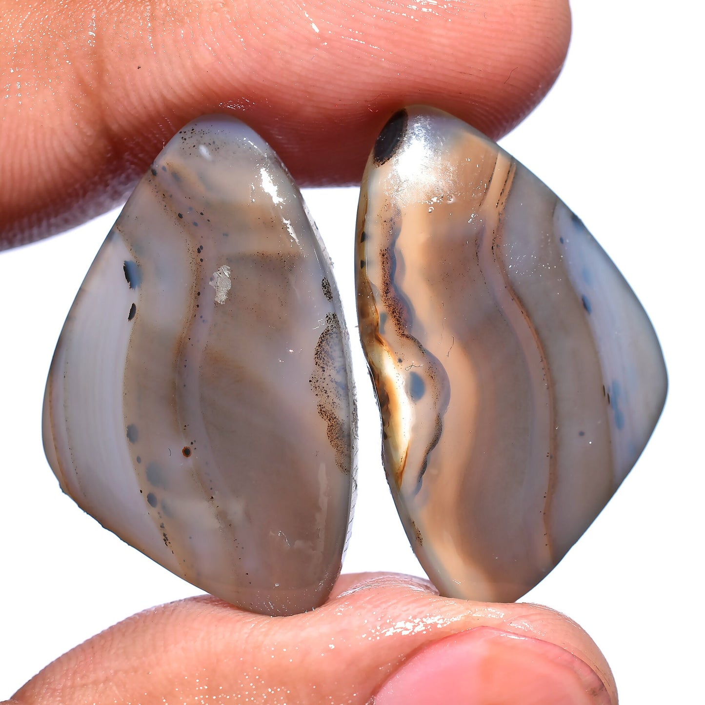 Natural Montana Agate Pair - Multi-Color Cabochon Loose Gemstones