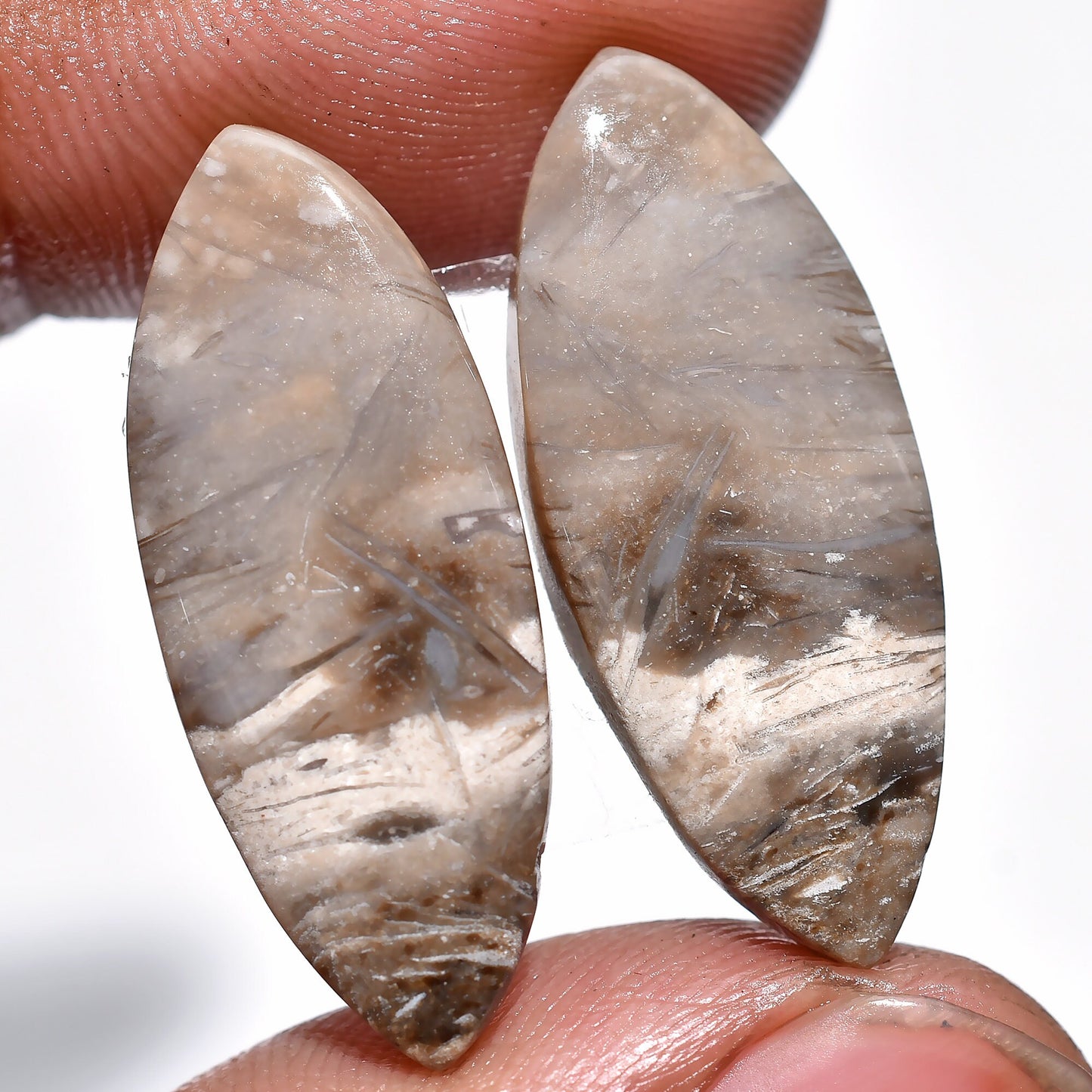 Striking Palm Root Earring Pair – Hand-Cut Matched Palm Root Agate Pair