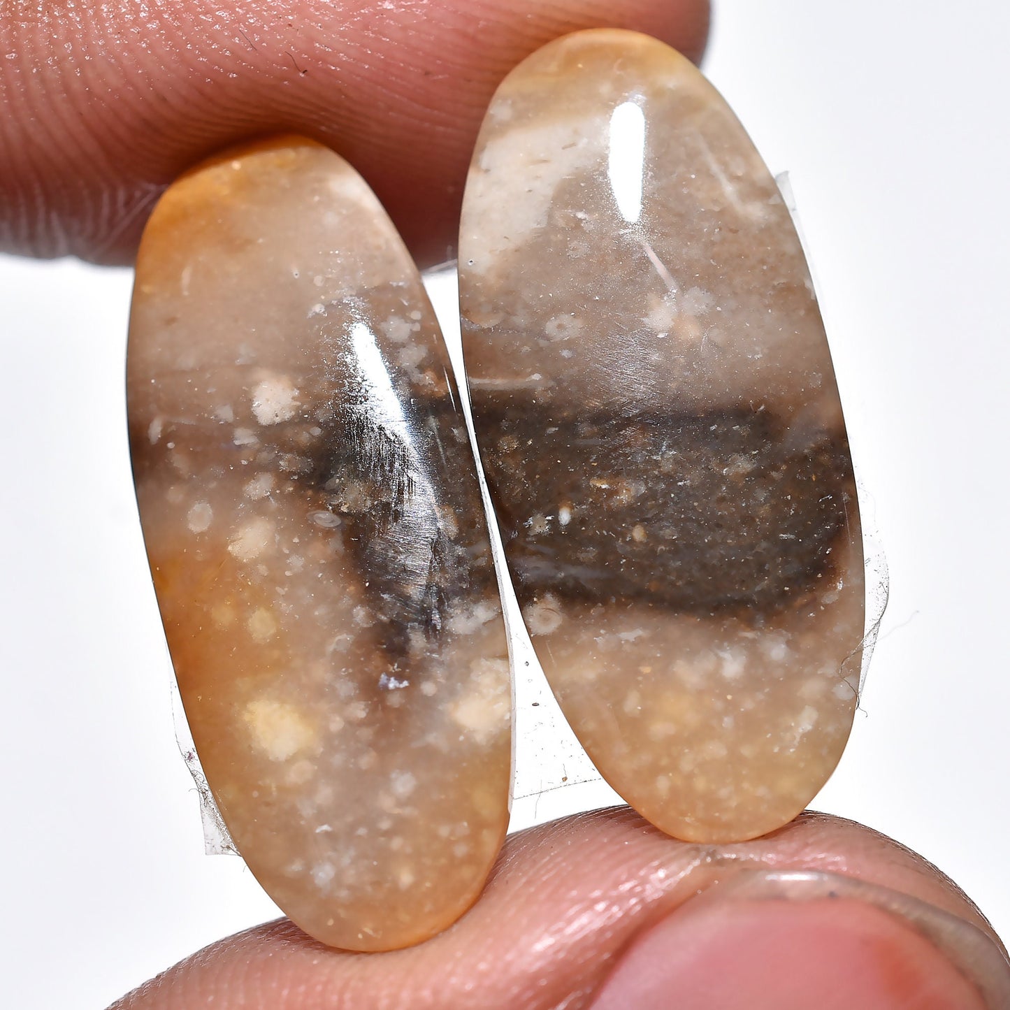 Natural Palm Root Agate Gemstone Pair - Polished Oval Cabochons for Custom Earrings