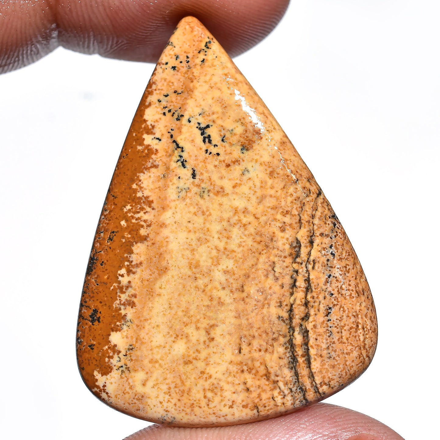 Amazing Oval Picture Jasper Cabochon - Pear-Shaped Polished Gemstone Healing Crystal