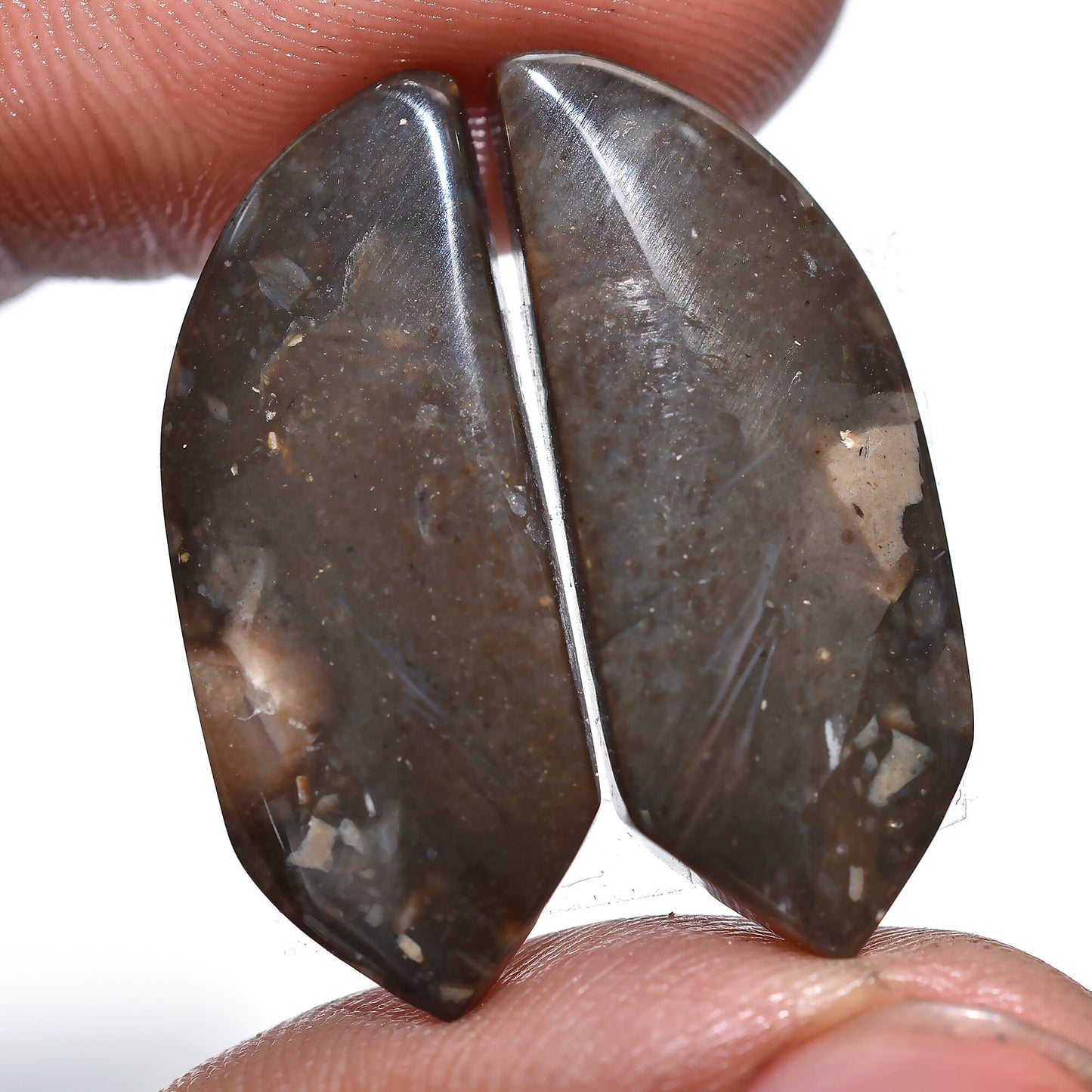 Striking Palm Root Earring Pair – Hand-Cut Matched Palm Root Agate Pair