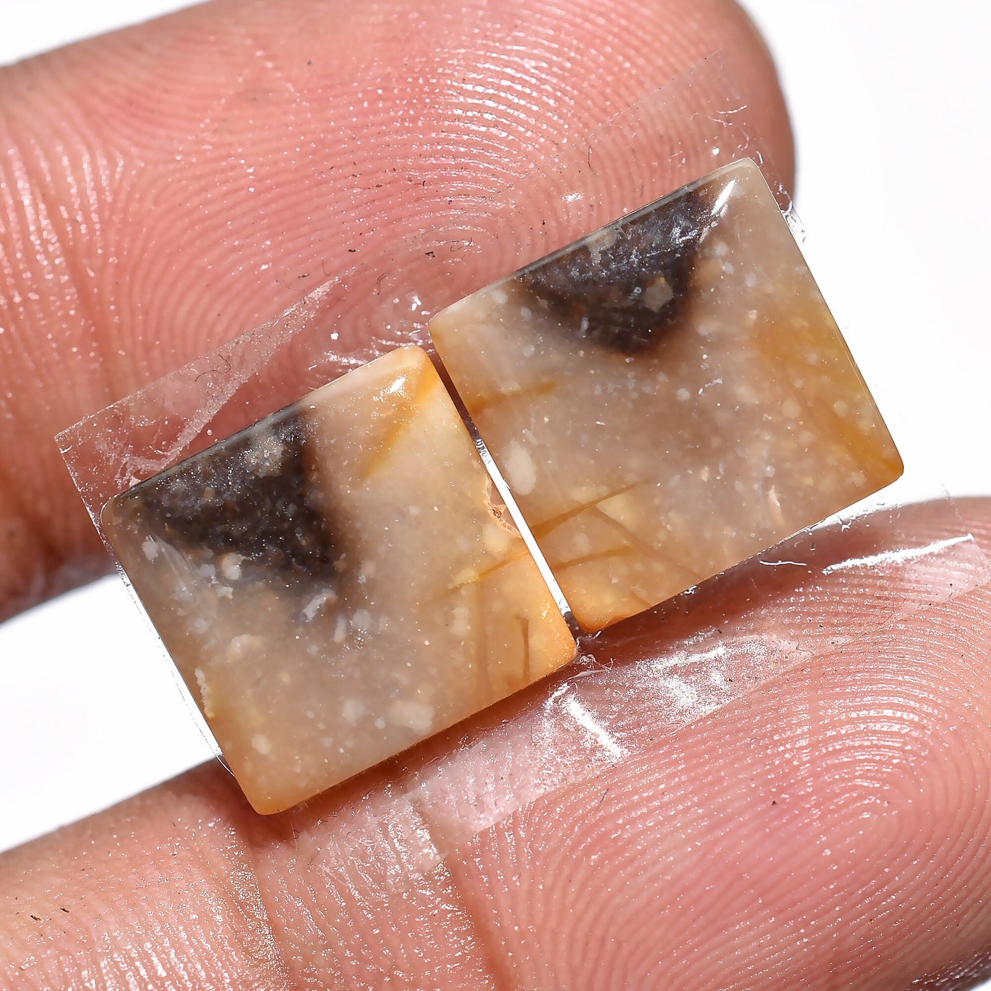 Striking Palm Root Earring Pair – Hand-Cut Matched Palm Root Agate Pair