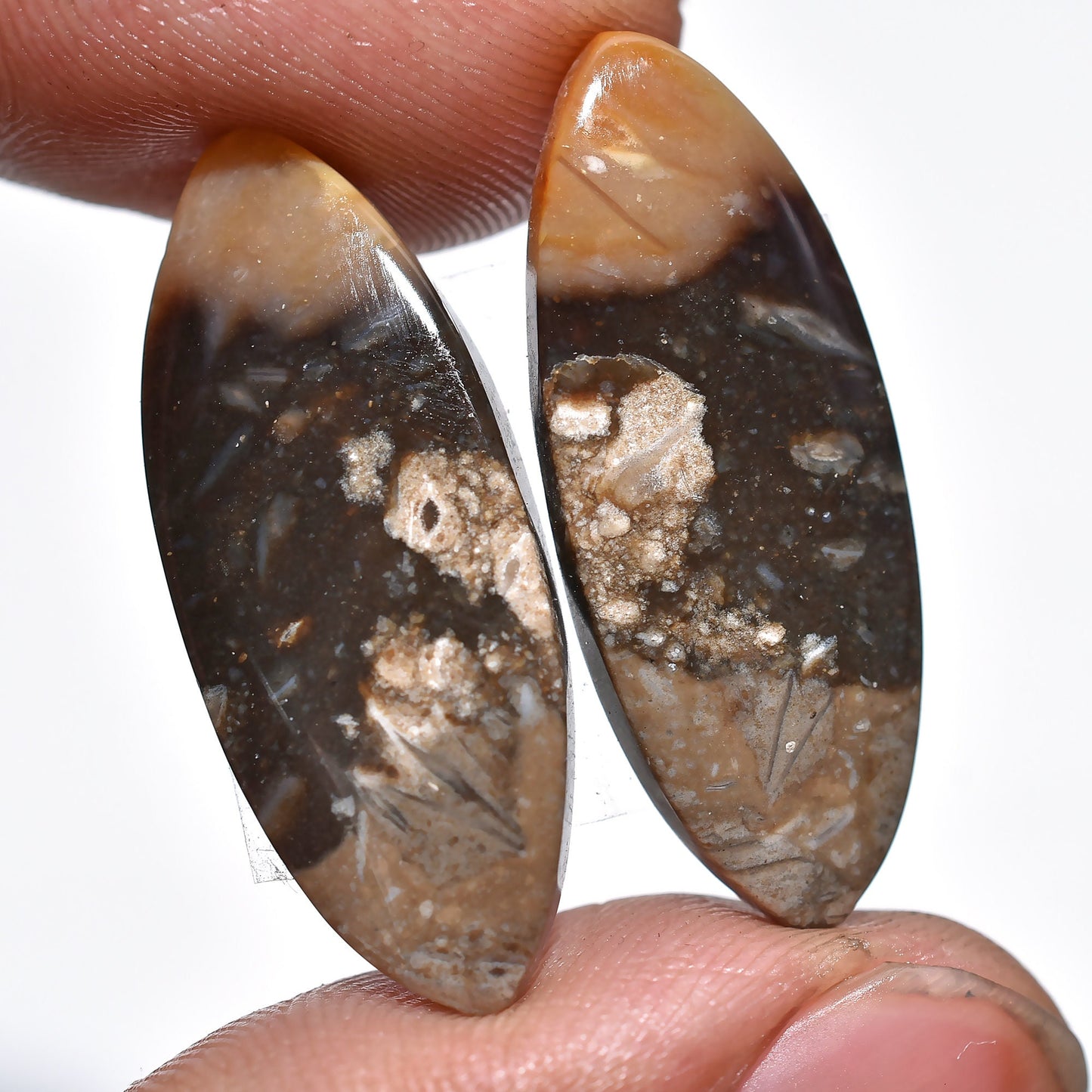 Natural Palm Root Agate Gemstone Pair - Polished Oval Cabochons for Custom Earrings