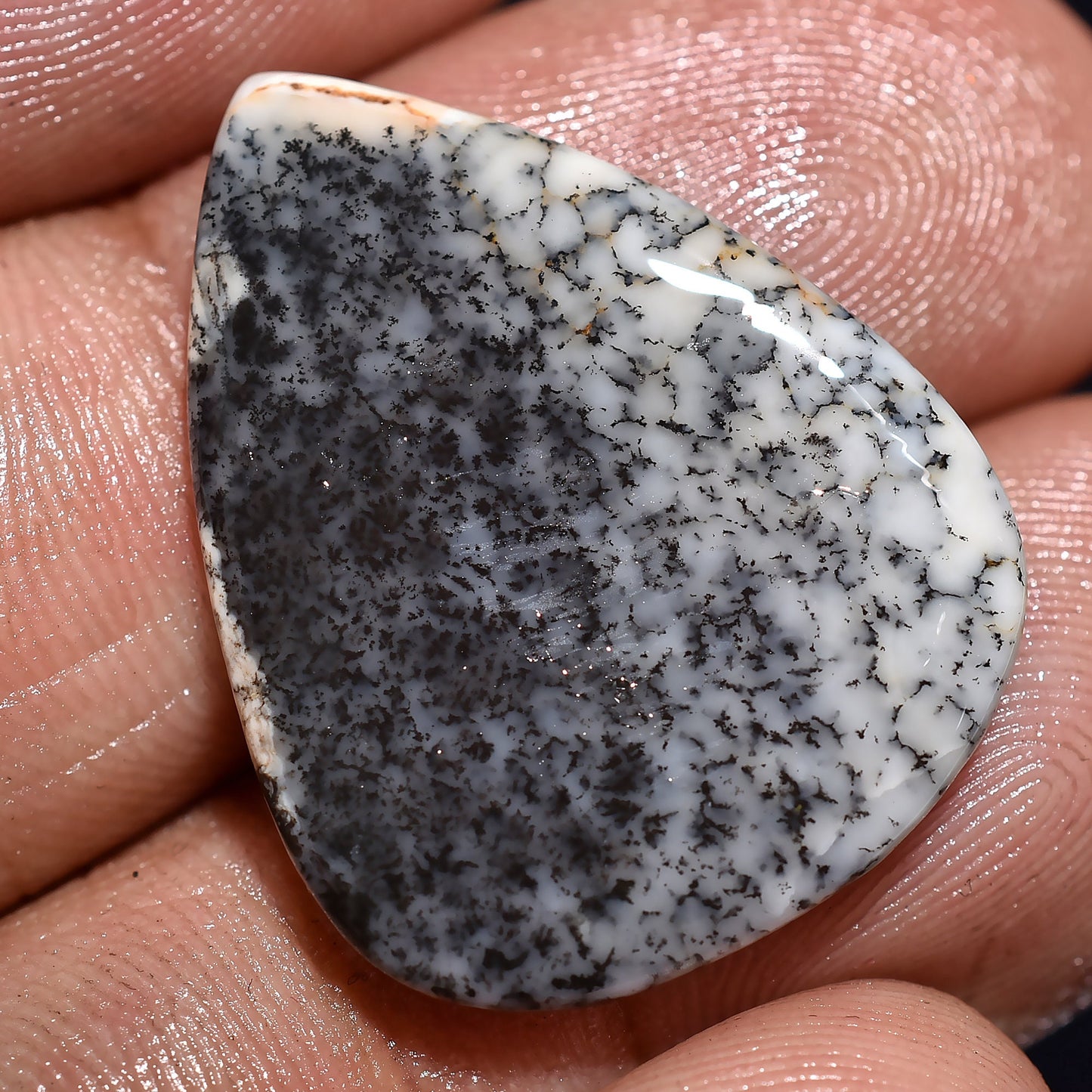 Gorgeous Dendrite Opal Loose Gemstone – Wholesale Designer Opal Pendants