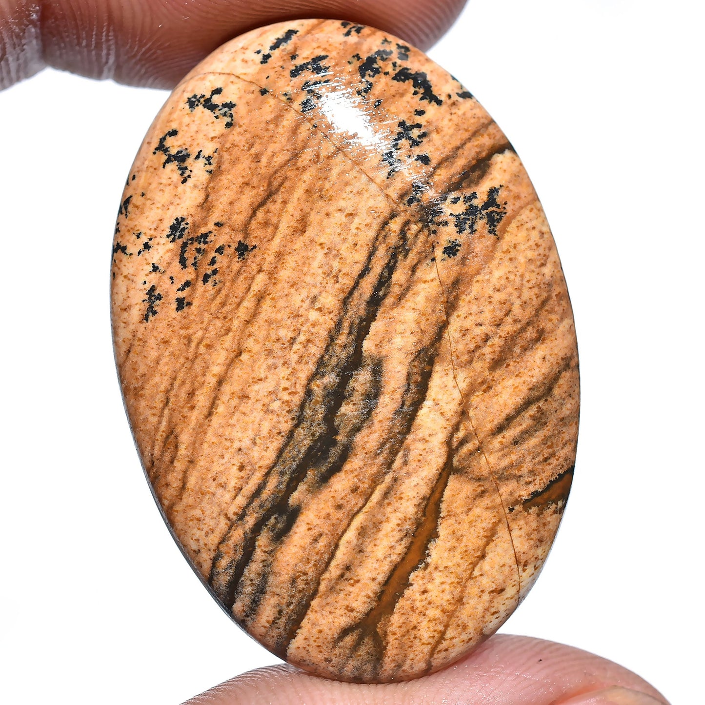 Amazing Oval Picture Jasper Cabochon - Pear-Shaped Polished Gemstone Healing Crystal