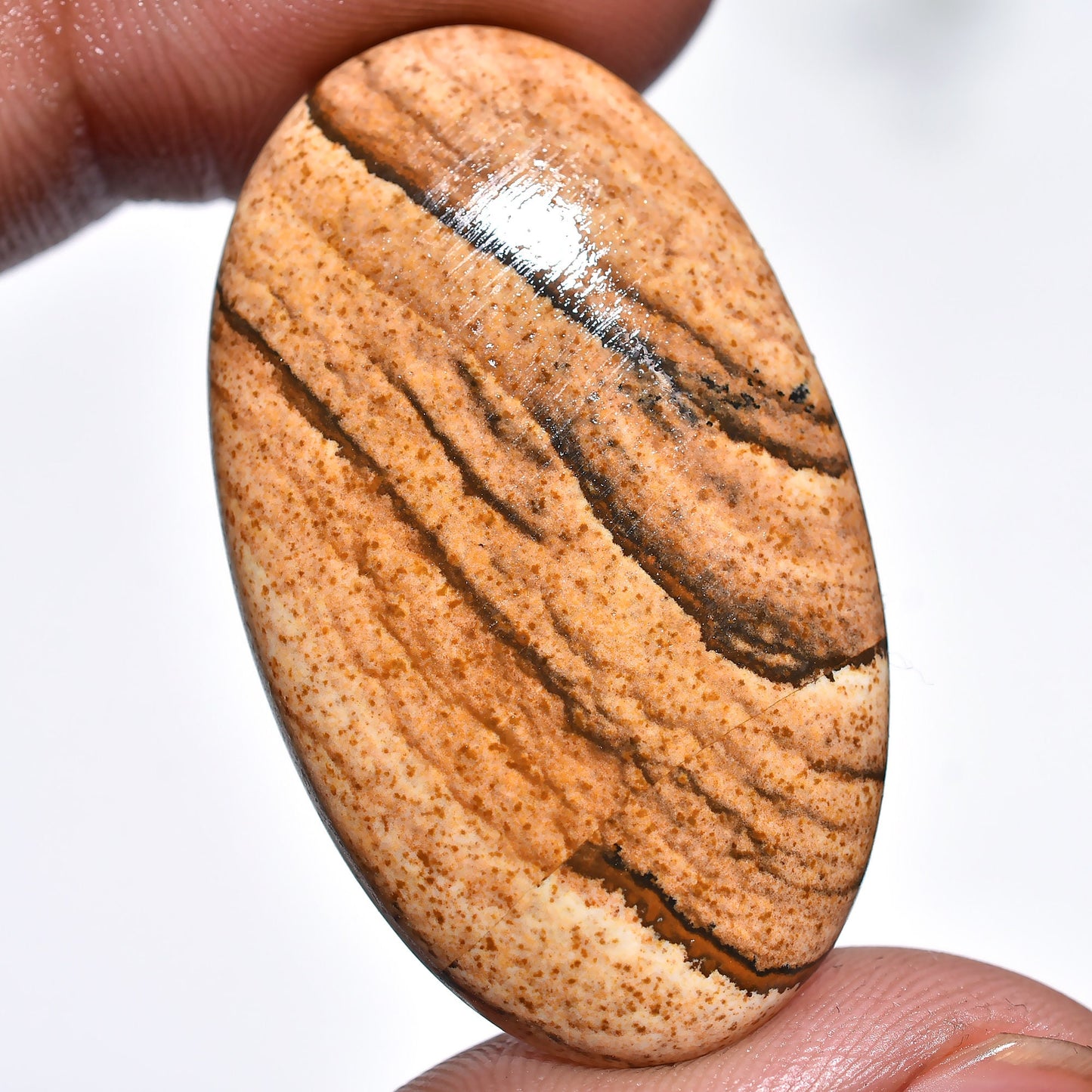 Top Quality Picture Jasper Cabochon - Smooth Oval Natural Stone for Unique Gifts