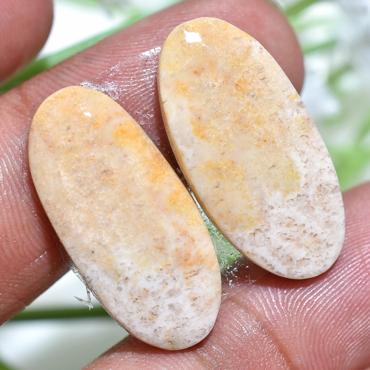 Fossil Coral Cabochon Earrings Pair - Matched Oval Marquise Shape for Earring Making