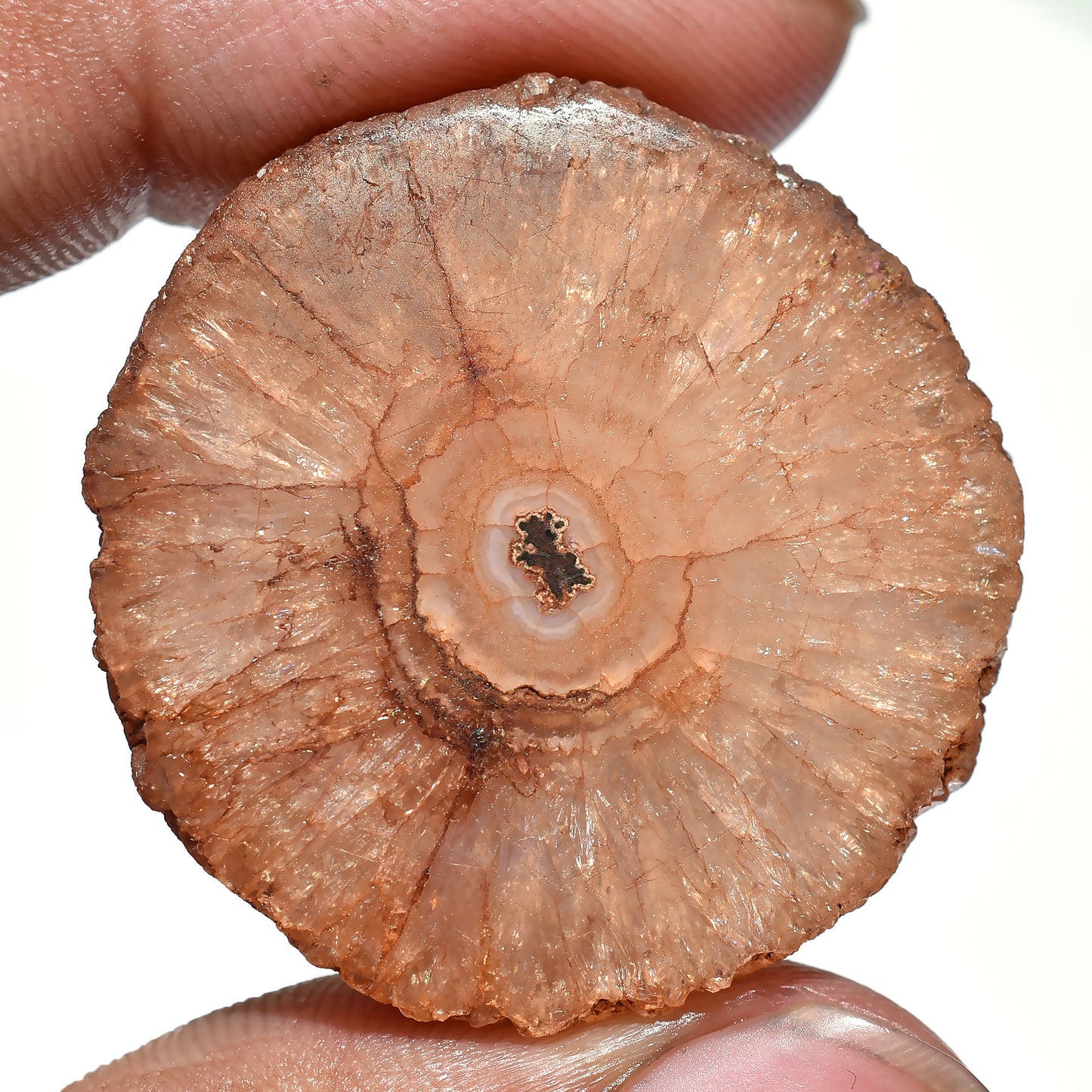Attractive Brown Solar Quartz – Polished Round Cabochon for DIY Jewelry & Wholesale
