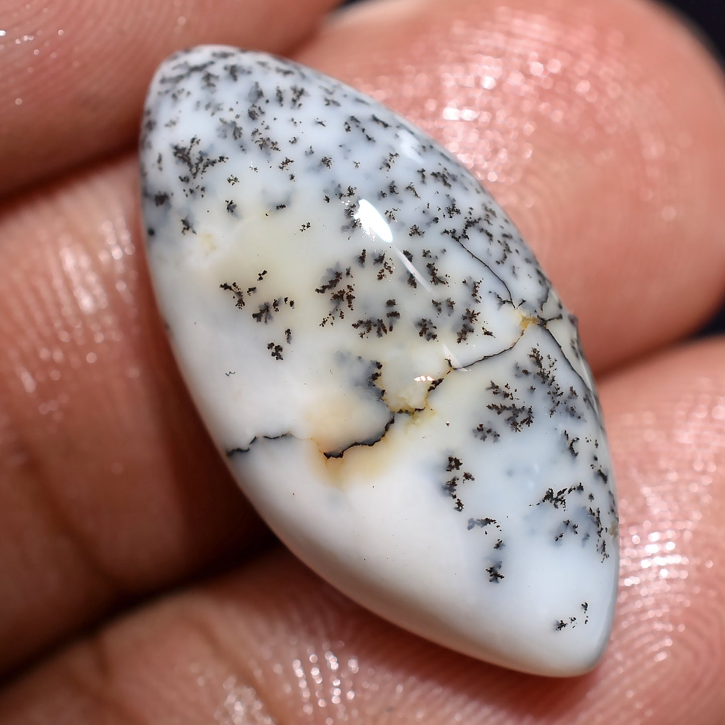 Gorgeous Dendrite Opal Loose Gemstone – Wholesale Designer Opal Pendants