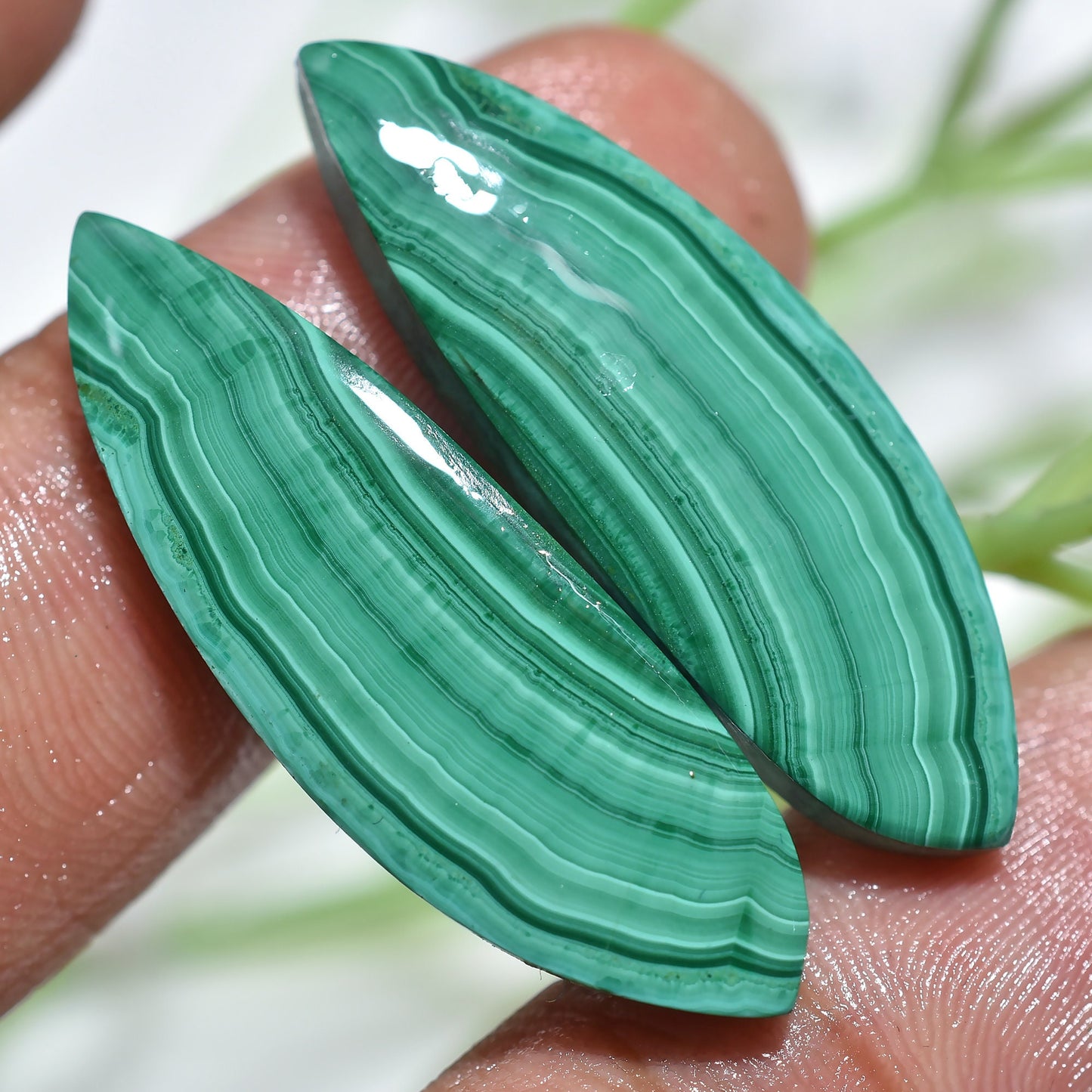 Wholesale Designer Malachite Earrings Pair, Smooth Matched Slice Gemstone