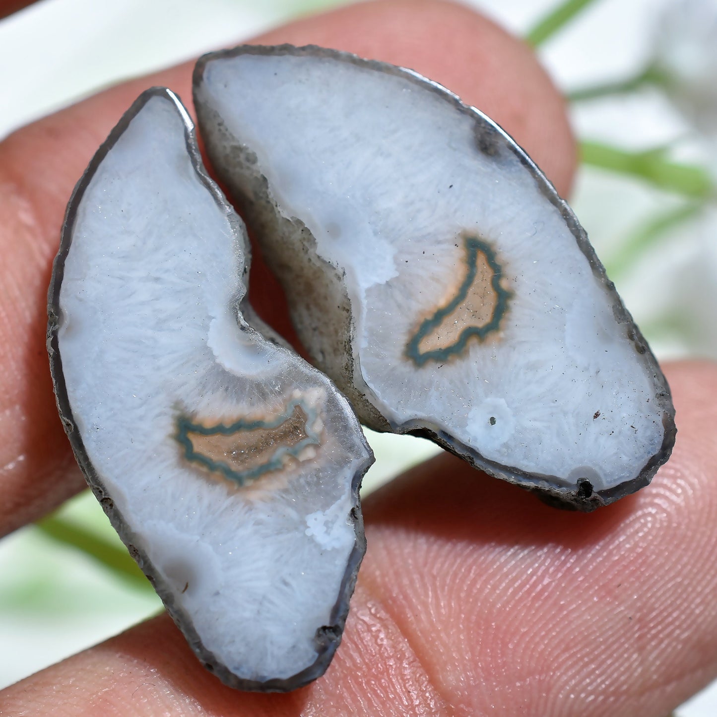Fancy Geode Pair - Black Agate Druzy Slice Earring Pair, Agate Window Geode