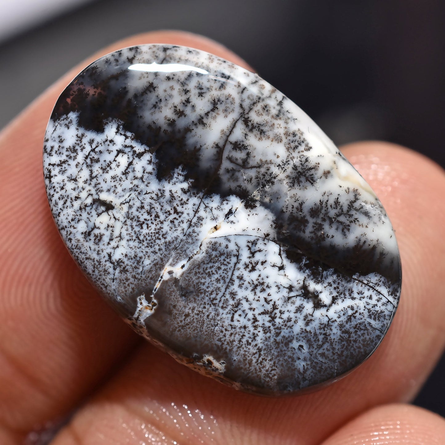 Dendrite Agate Cabochon – Oval Shape Black & White Opal Gemstone