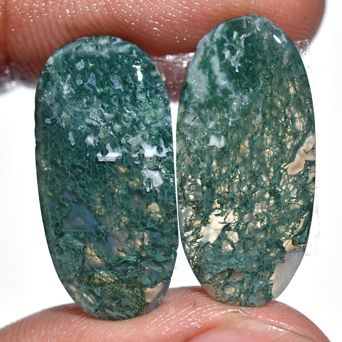 Designer Green Moss Agate Cabochon Pair