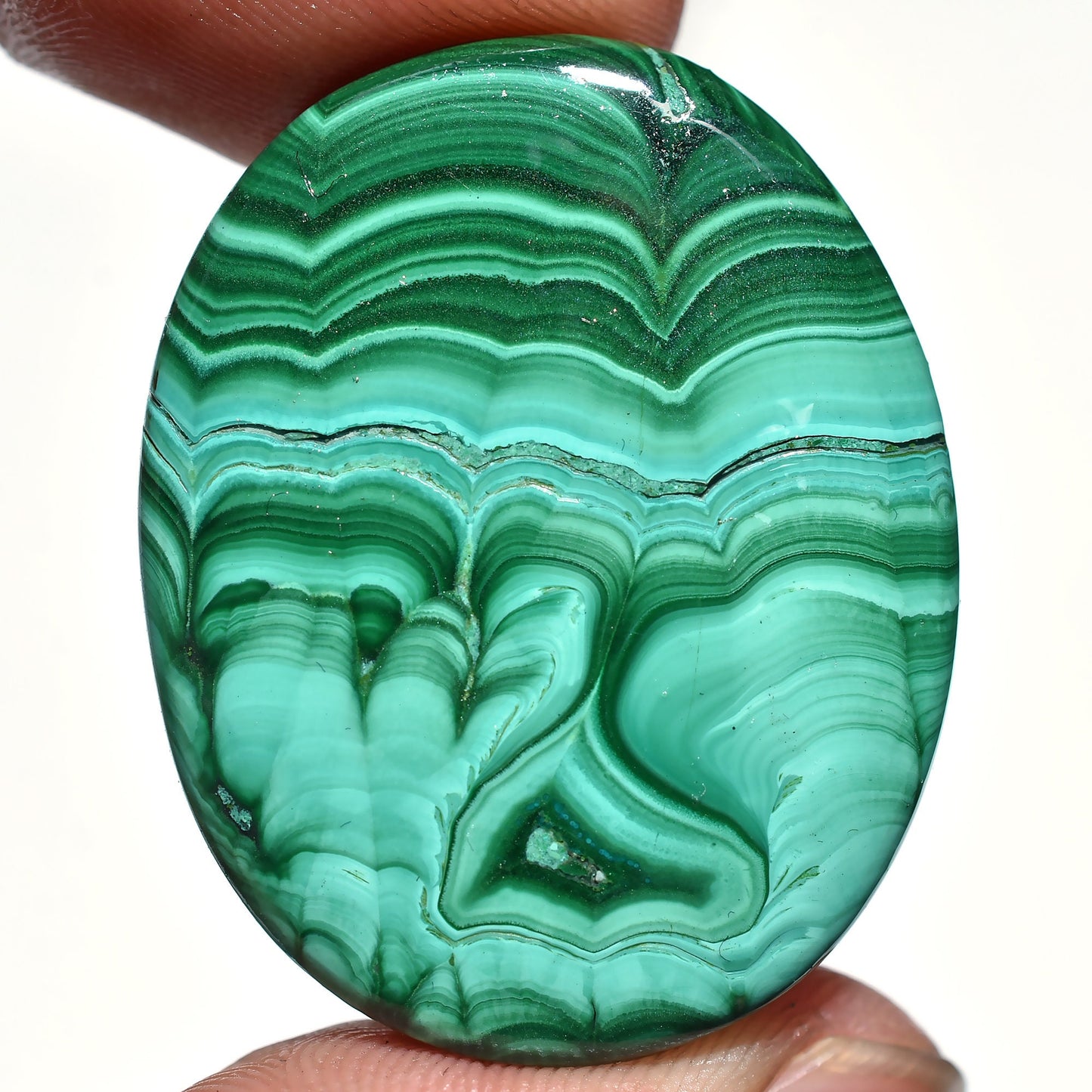 Top Quality Green Malachite Cabochon – Polished Oval Gemstone | Perfect Designer Crystal Gift