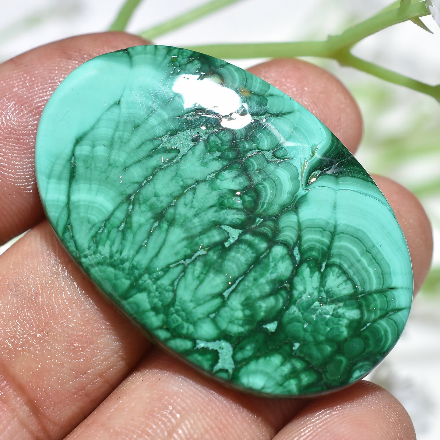 Natural Oval Malachite Cabochon - A-One Quality Loose Stone