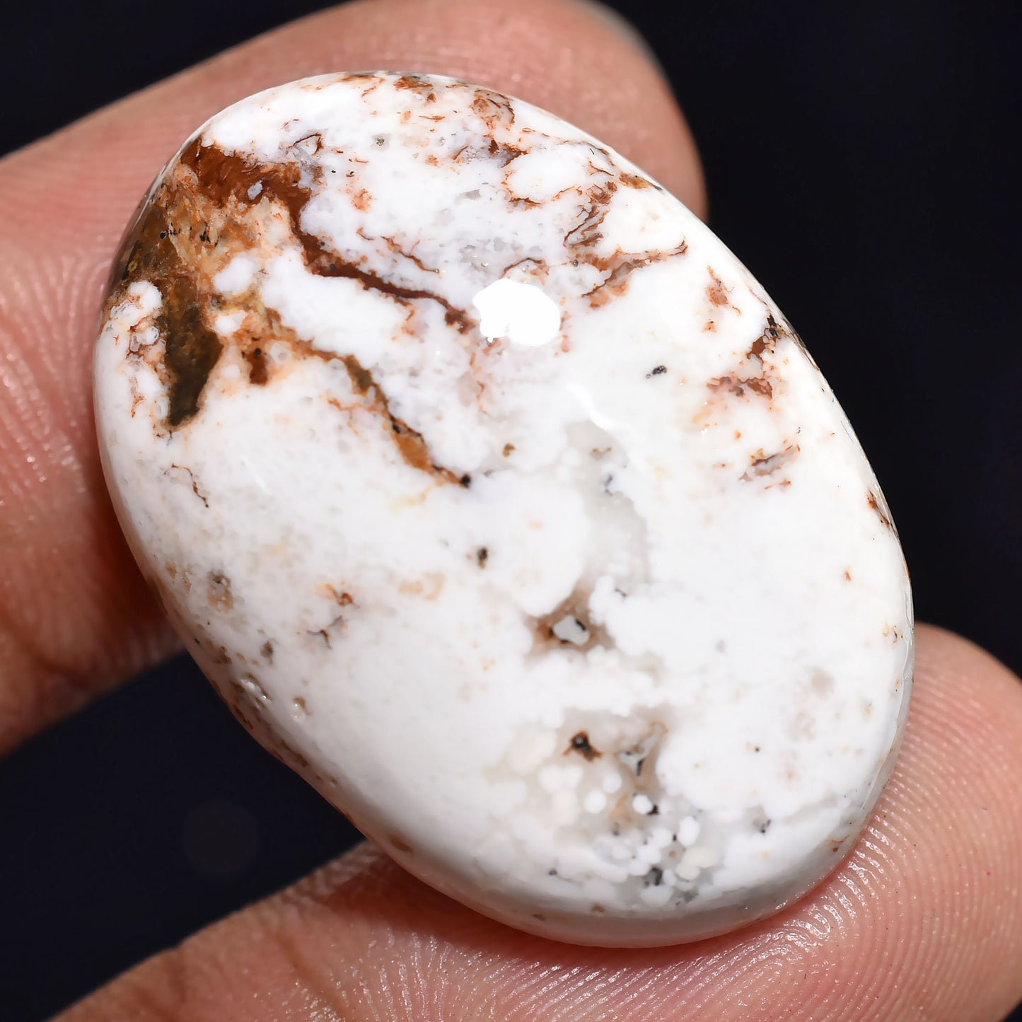 Natural Wild Horse Cabs - Oval Shaped Smooth Polished Cabochons for Pendants