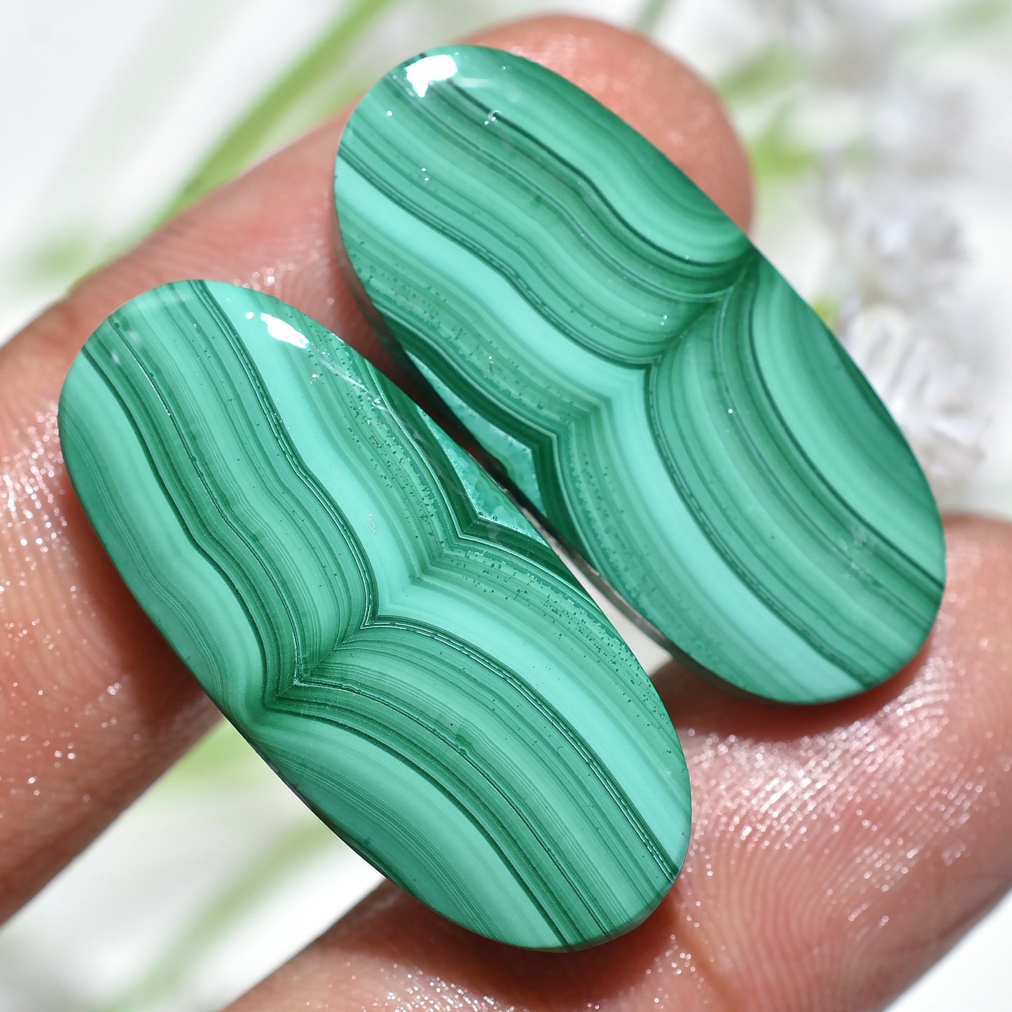 Wholesale Designer Malachite Earrings Pair, Smooth Matched Slice Gemstone