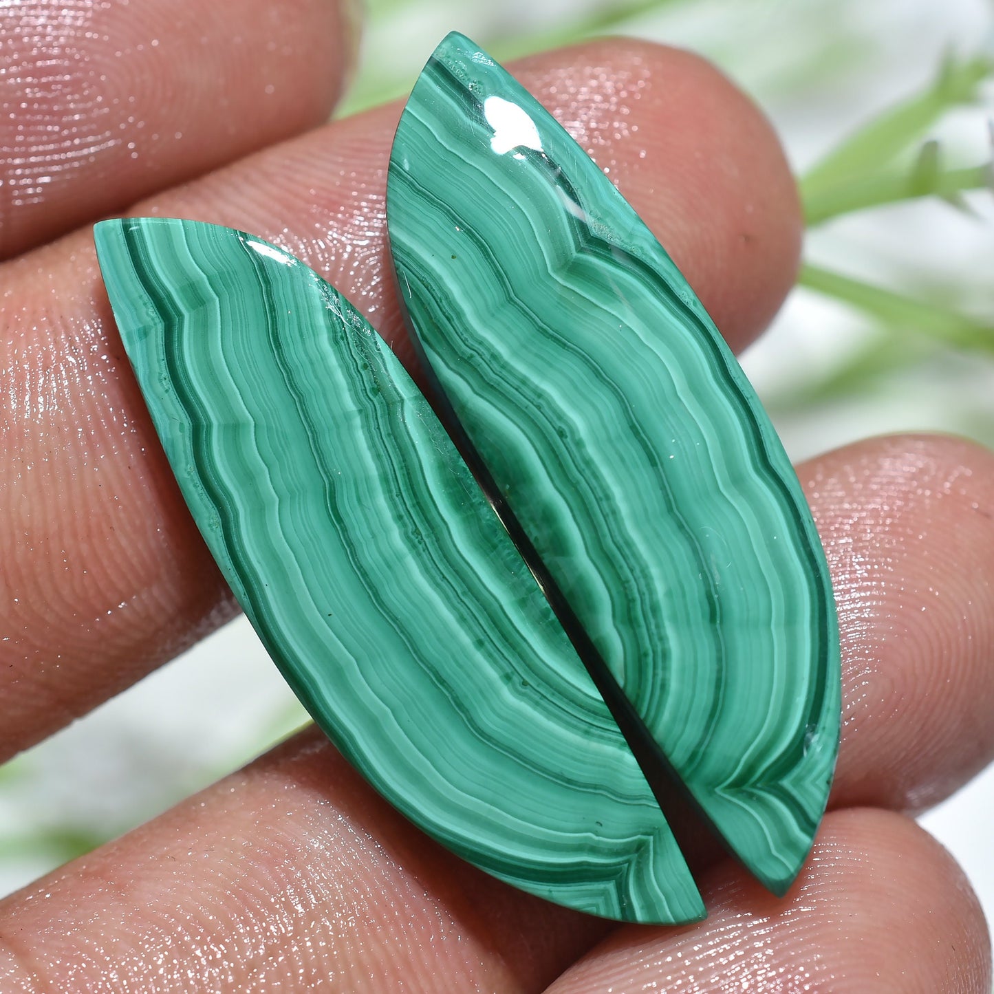 Wholesale Designer Malachite Earrings Pair, Smooth Matched Slice Gemstone