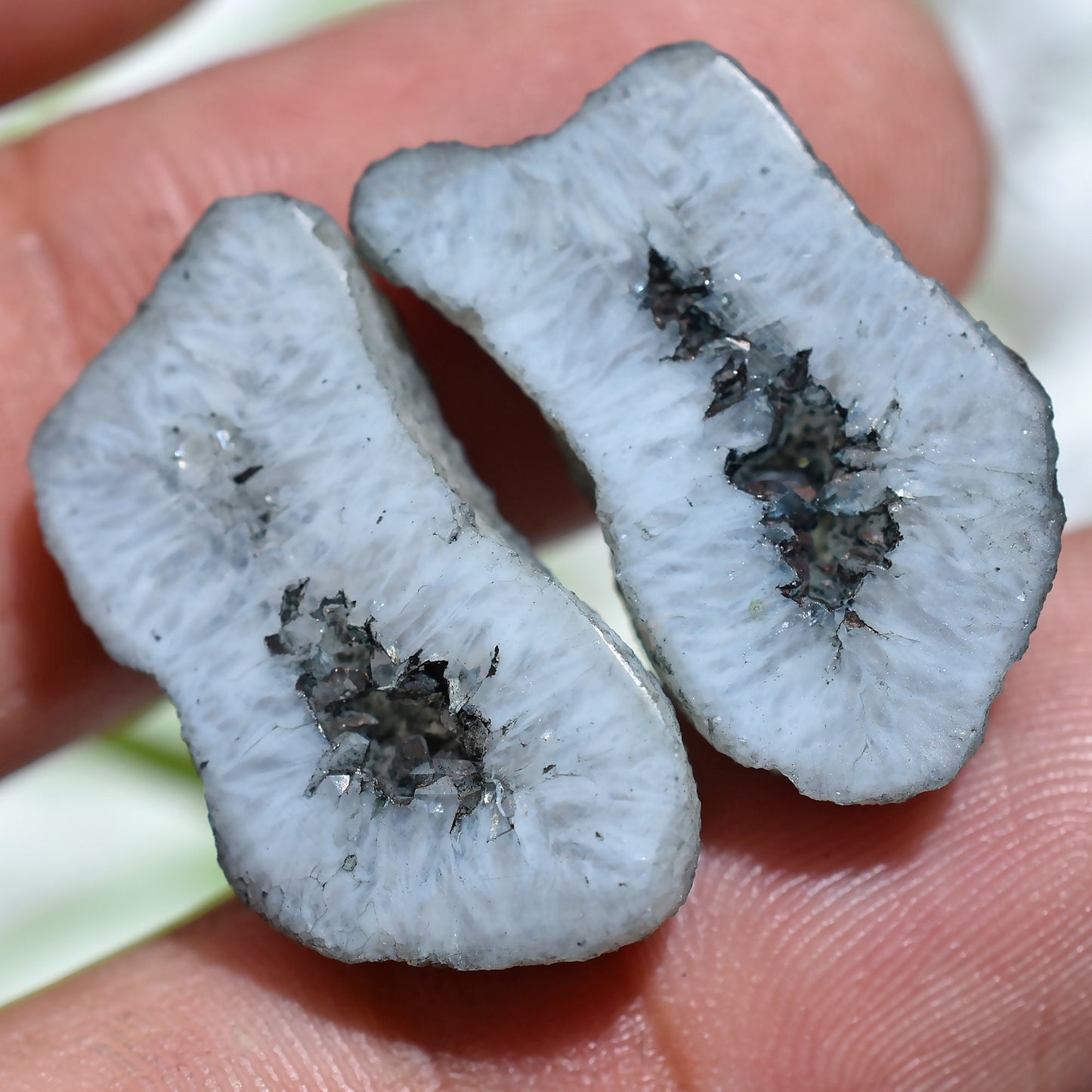 Fancy Geode Pair - Black Agate Druzy Slice Earring Pair, Agate Window Geode
