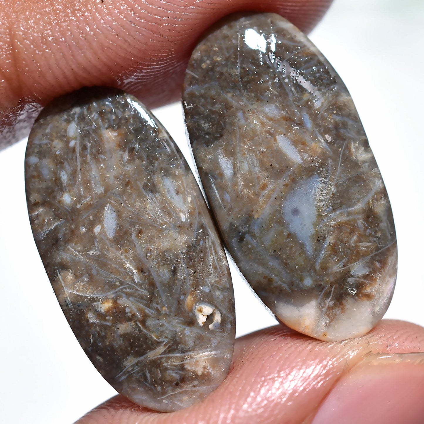 Palm Root Matched Pair, Natural Indonesian Oval Gemstones