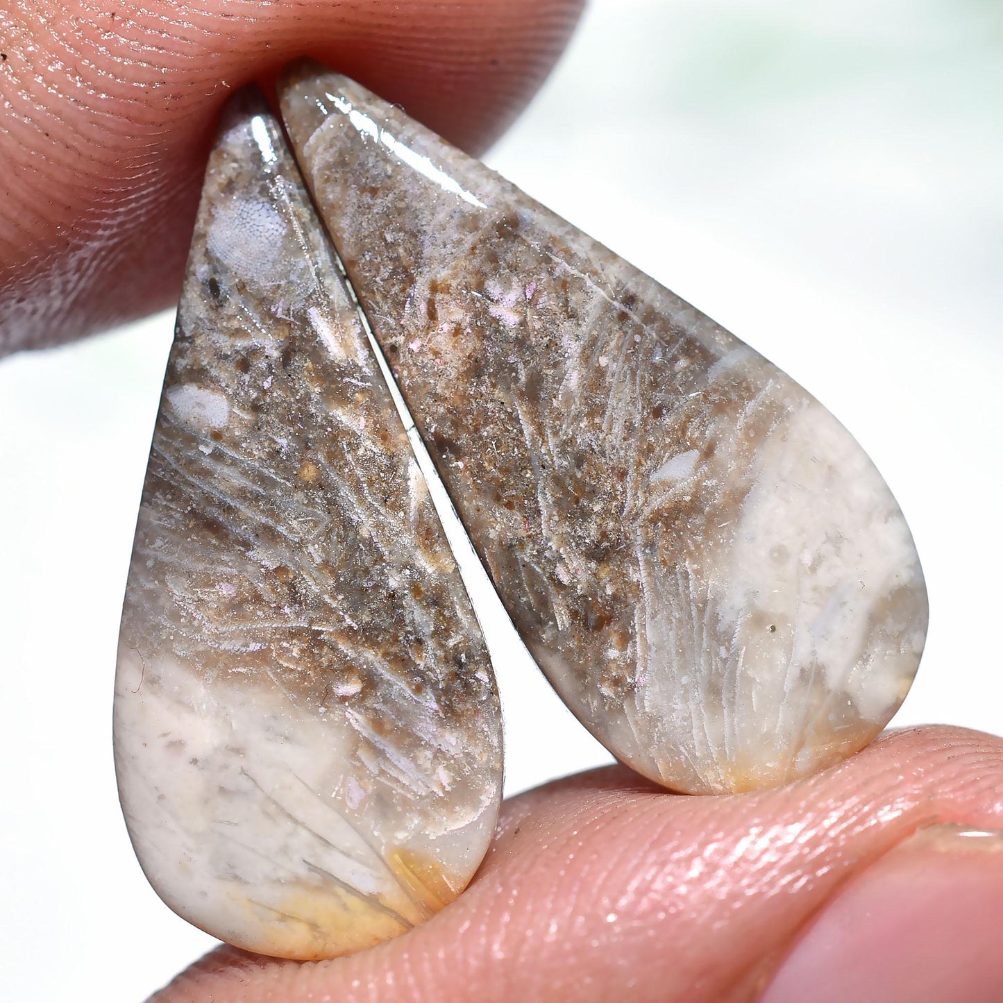 Palm Root Matched Pair, Natural Indonesian Oval Gemstones