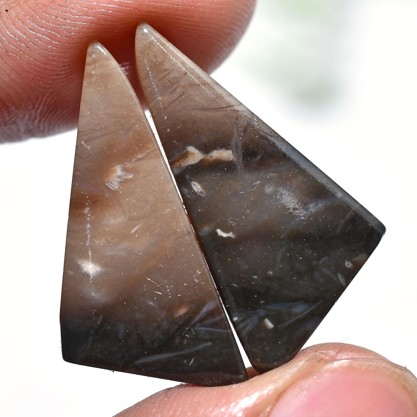 Palm Root Agate Cabochon Pair - Fancy Loose Gemstone for Earring Making