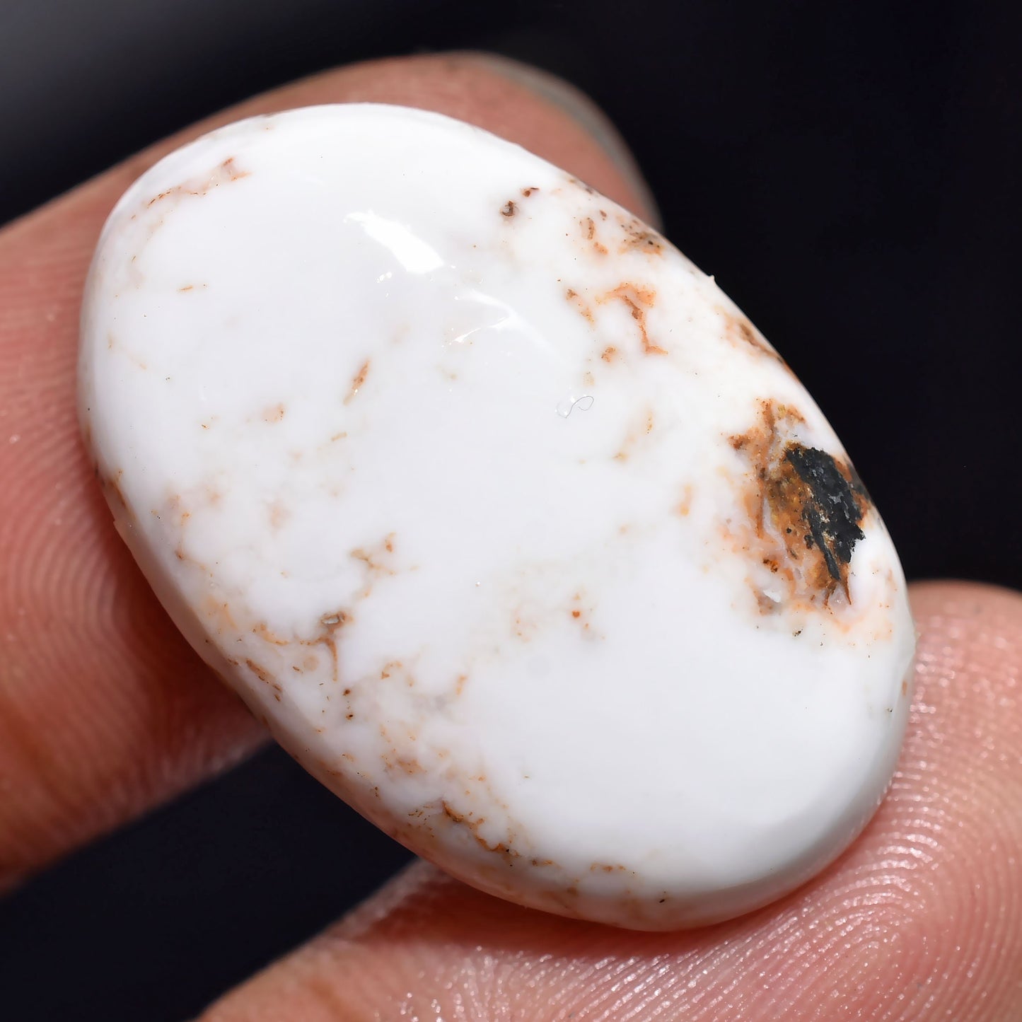 Natural Wild Horse Cabs - Oval Shaped Smooth Polished Cabochons for Pendants