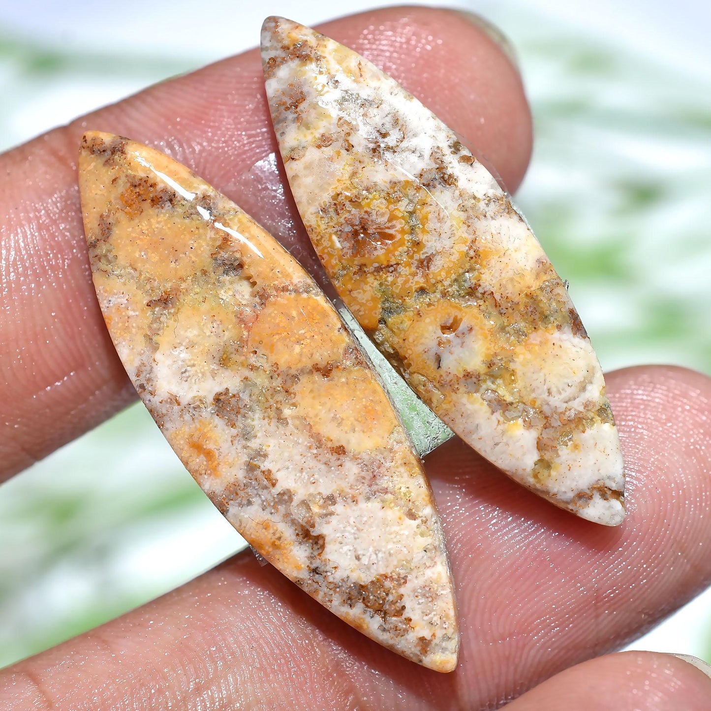 Unique! 100% Natural Fossil Coral Gemstone Pair – Marquise Shape for Earring Making