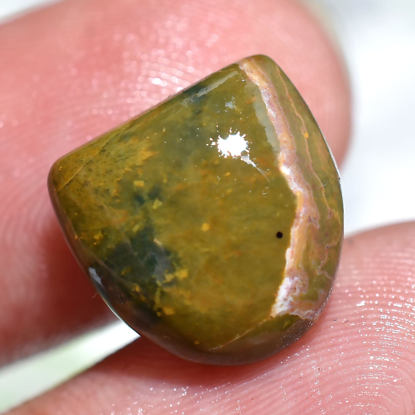 Natural Ocean Jasper Cabochon, Mixed Shape Loose Flat Back Green Jasper for Jewelry Making