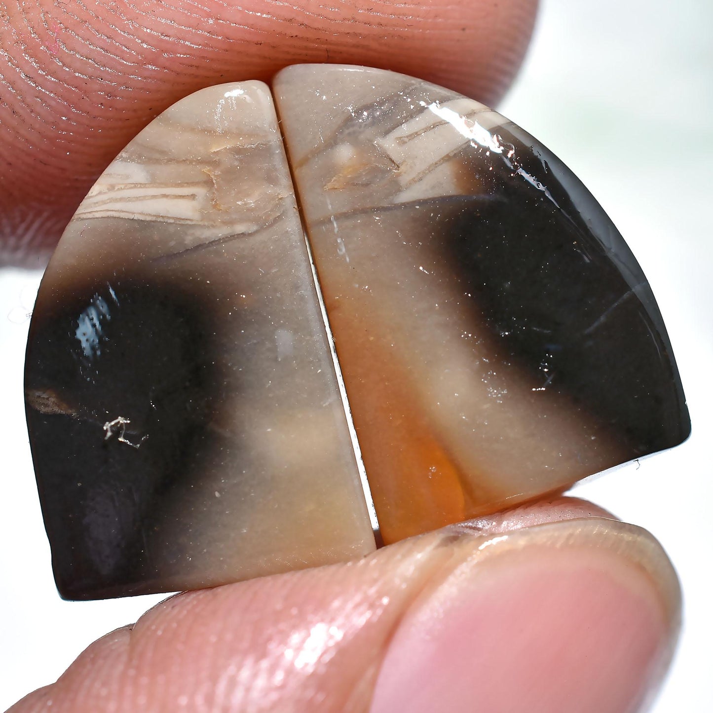 Palm Root Matched Pair, Natural Indonesian Oval Gemstones