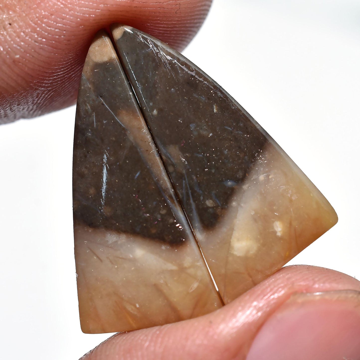 Palm Root Agate Pair – Matched Set of Palm Root Agate Cabochons