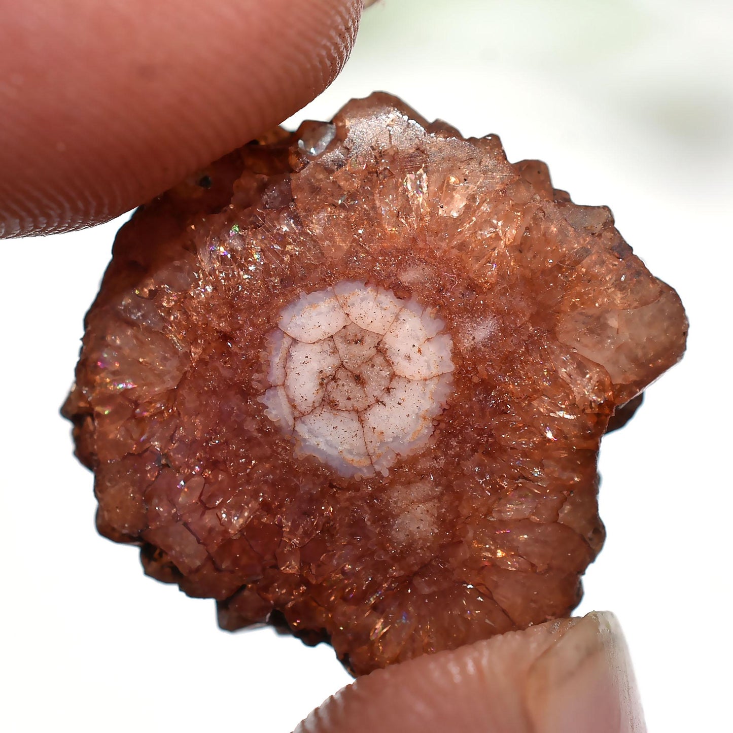 Brown Solar Quartz Gemstone - Round Fancy Crystal for Pendants, Wholesale Cabochon